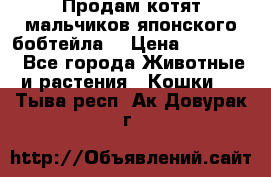 Продам котят мальчиков японского бобтейла. › Цена ­ 30 000 - Все города Животные и растения » Кошки   . Тыва респ.,Ак-Довурак г.